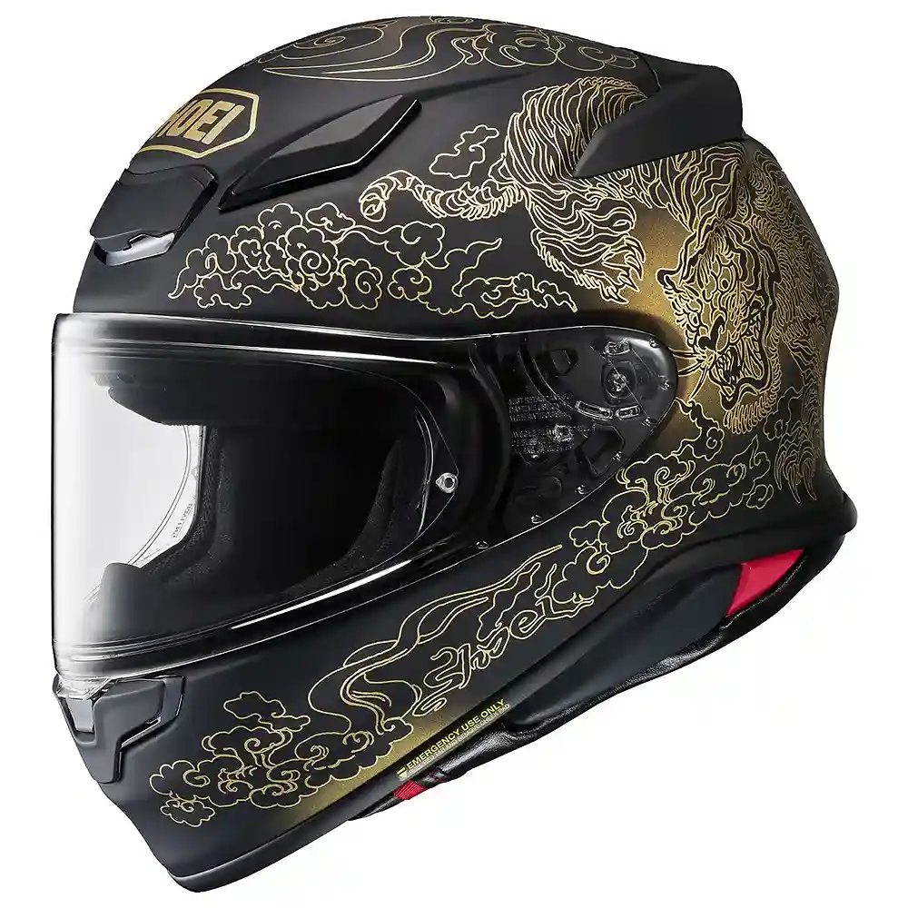 Acabado de fábrica en color TC-5, 2XL para el RF-1400 FEARLESS / Casco - Moto Garage Miami